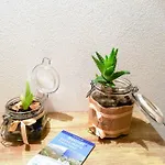 Il Giardino Prázdninový dům *